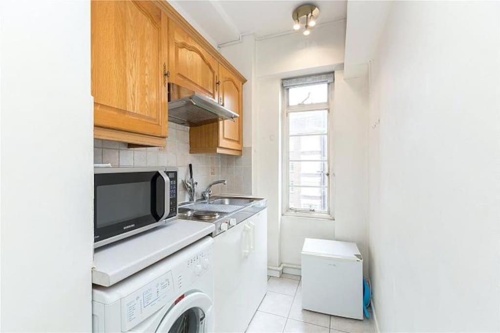 King-sized Studio, 6th Floor + Lift, Regent’s Park Londen